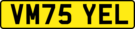 VM75YEL