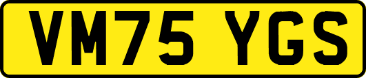 VM75YGS