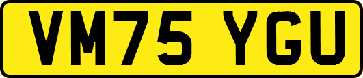 VM75YGU