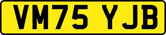 VM75YJB