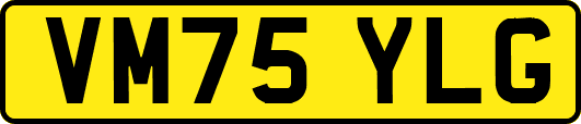 VM75YLG