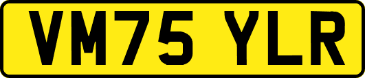 VM75YLR