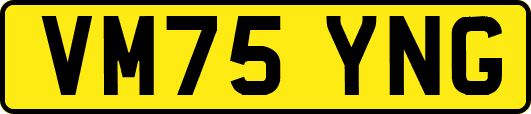 VM75YNG