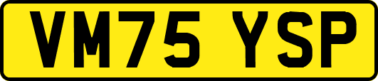 VM75YSP