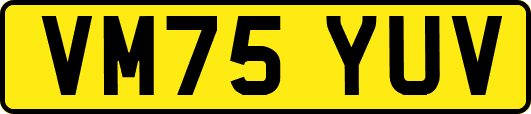 VM75YUV