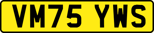 VM75YWS