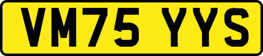 VM75YYS