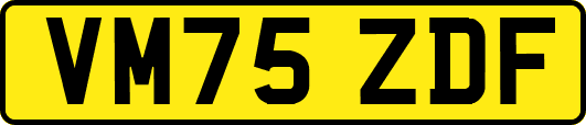 VM75ZDF