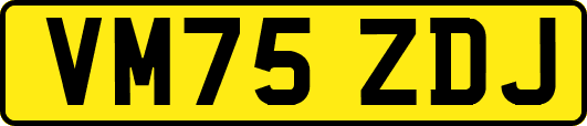 VM75ZDJ