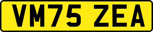 VM75ZEA