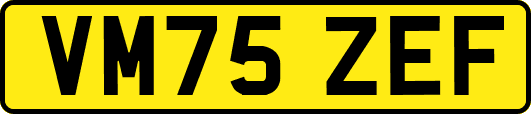 VM75ZEF