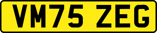 VM75ZEG