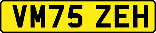 VM75ZEH
