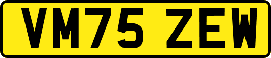 VM75ZEW