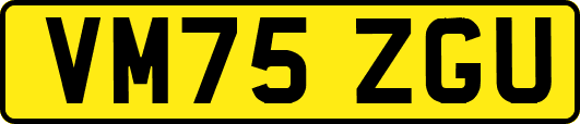 VM75ZGU