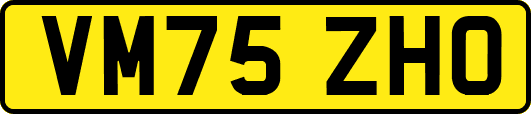 VM75ZHO