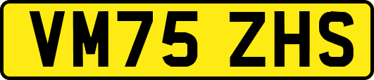 VM75ZHS