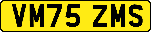 VM75ZMS