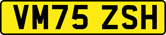 VM75ZSH