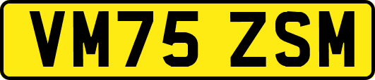 VM75ZSM
