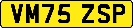 VM75ZSP