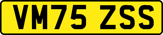VM75ZSS