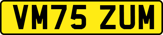 VM75ZUM