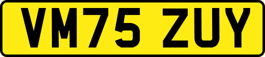 VM75ZUY