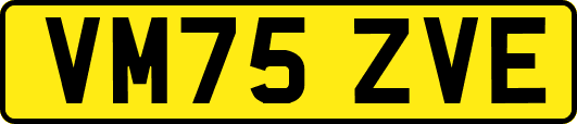 VM75ZVE
