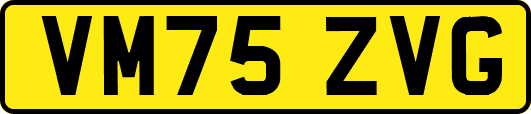 VM75ZVG