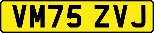 VM75ZVJ