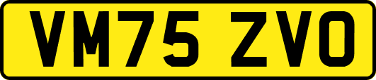 VM75ZVO