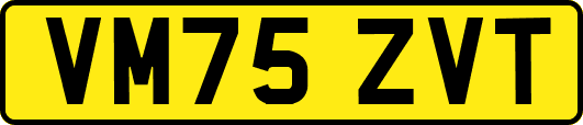 VM75ZVT