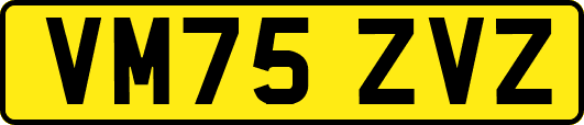 VM75ZVZ