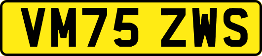VM75ZWS