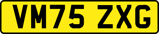 VM75ZXG