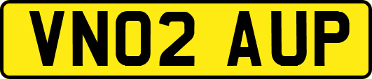 VN02AUP