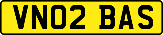 VN02BAS