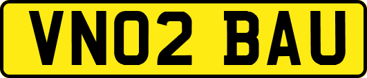 VN02BAU