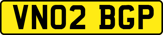 VN02BGP