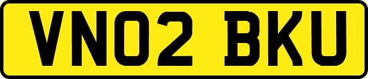 VN02BKU