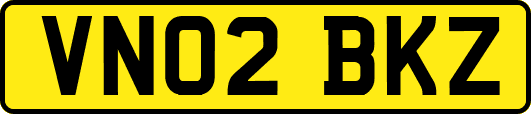 VN02BKZ