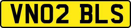 VN02BLS