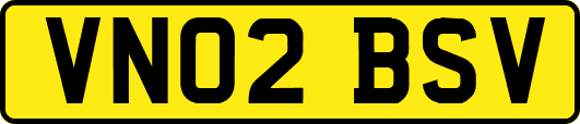 VN02BSV