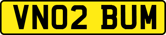 VN02BUM