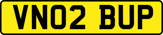 VN02BUP