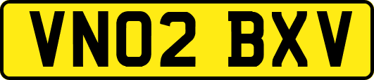 VN02BXV