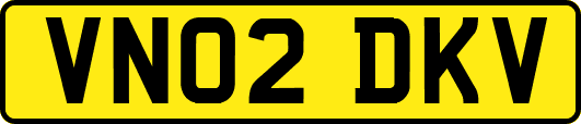 VN02DKV