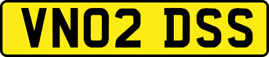 VN02DSS