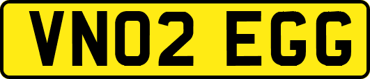 VN02EGG